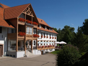 Гостиница Landgasthof Rößle  Илинген-Биркендорф